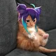 Wanwan cat