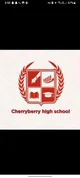 Cherryberryhigtschoo