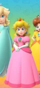 Peach daisy rosalina