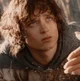 Frodo Baggins