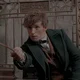 Newt Scamander 