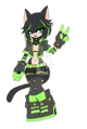 Licoil the cat