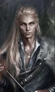 KINGDOM Elven lord