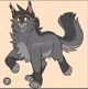 Graypaw