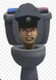 Police toilet