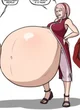 Big Belly Sakura