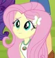 Fluttershy