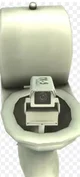 Camera toilet