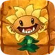 Primal sunflower 