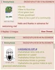 Green text maker