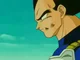 Sad vegeta