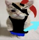 Elgato undyne