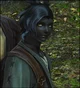 -XIV- Erenville
