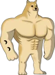 Swole Doge