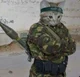 Your cat soldier 