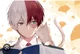 Todoroki shoto