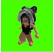 Toxic roblox girl