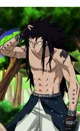 Gajeel Redfox