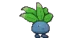 Oddish