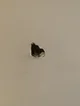 Hole in the wall