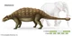 ankylosaurus