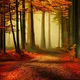 Forest in Autumn 