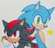 Sonic and Shadow