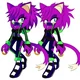 Rave the cat