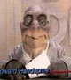 Howard Handupme