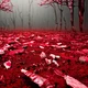 The Flesh Fields