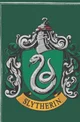 slytherin boys 2