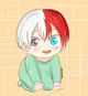 Baby todoroki 