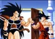 Goku and Raditz