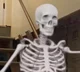 Mr Skelly Bones