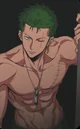 Bodyguard Zoro