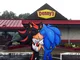 Sonic and shadow