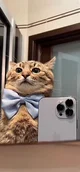 Selfie Cat