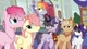MLP group