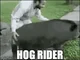 HOG RIDDA
