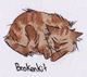 Brokenkit 
