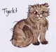 Tigerkit 