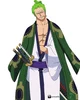 Roronoa Zoro in mha
