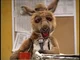 Kasey the Kangaroo