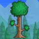 ---Terraria Game---