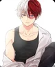 Shoto Todoroki
