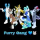The furry gang