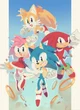 Sonic remates