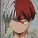 Shoto todoroki 