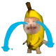 Banana cat
