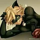 Chat Noir